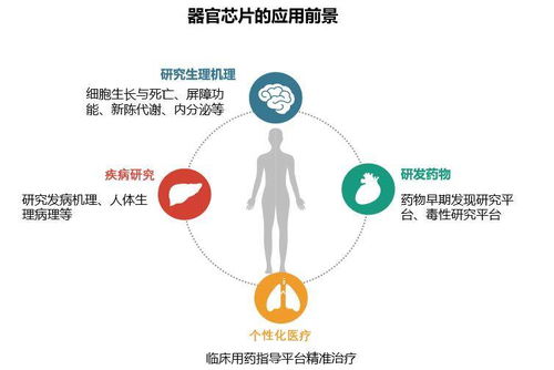 生物芯片技術(shù) 生物醫(yī)藥研發(fā)的新利器