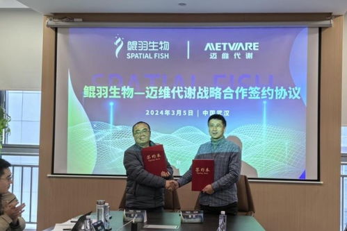 拓寬高分辨時(shí)空組學(xué)新領(lǐng)域 鯤羽生物與邁維代謝簽署戰(zhàn)略合作協(xié)議